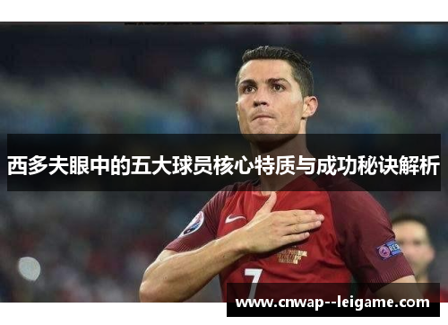 西多夫眼中的五大球员核心特质与成功秘诀解析 西多夫眼中的五大球员核心特质与成功秘诀解析