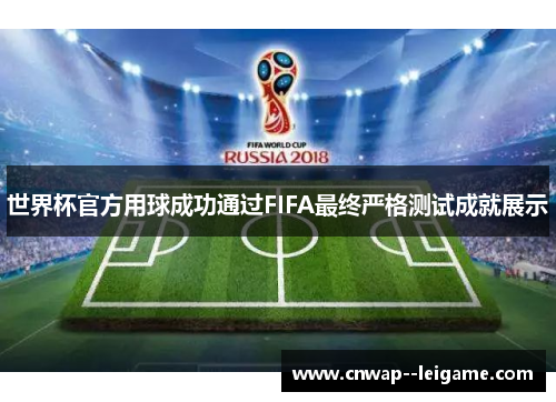 世界杯官方用球成功通过FIFA最终严格测试成就展示